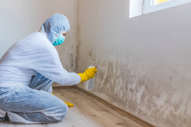 Mold Remediation specialist working in Lake Forest
